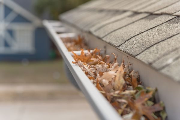 Leaf Barrier Installation in Blythewood